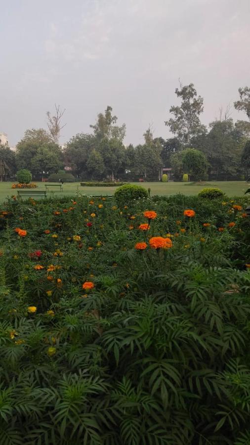Maplewood Guest House, Neeti Bagh, New Delhiit Is A Boutiqu Guest House - Room 5 Kültér fotó
