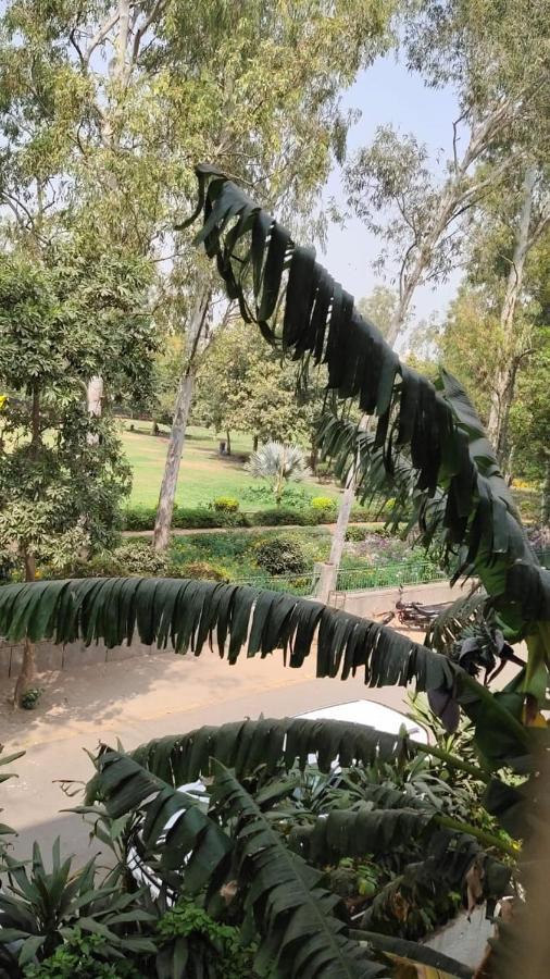 Maplewood Guest House, Neeti Bagh, New Delhiit Is A Boutiqu Guest House - Room 5 Kültér fotó